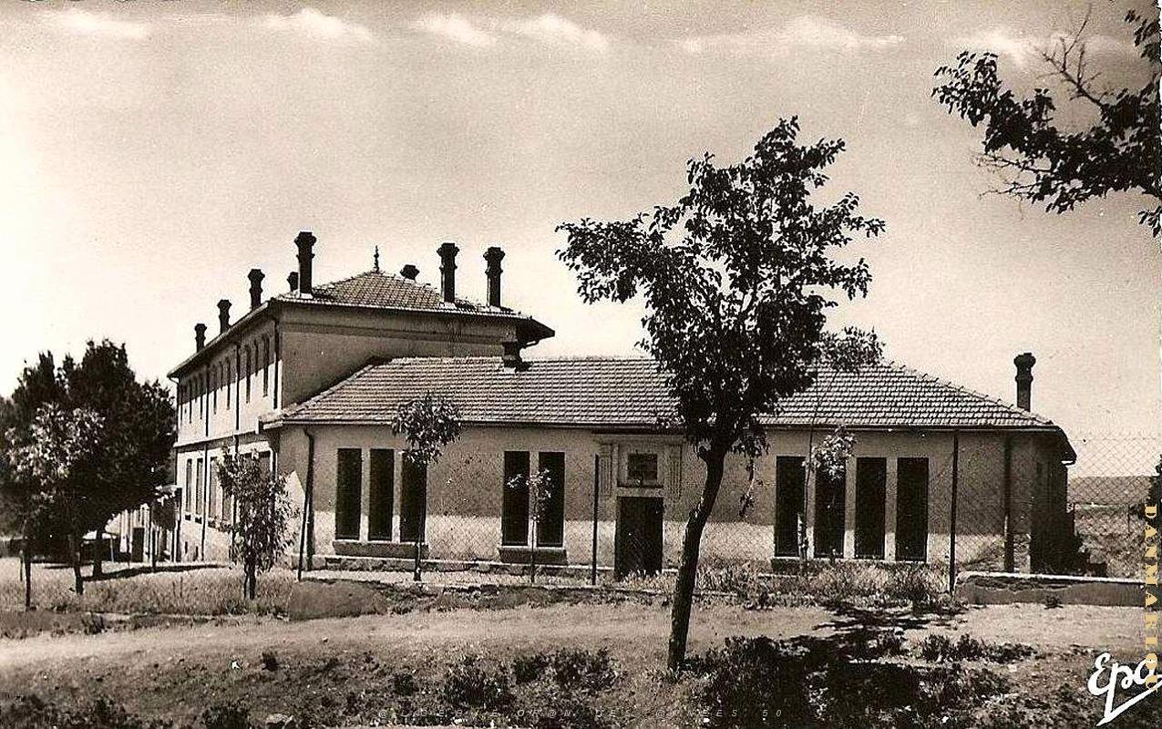 Vialar 607.jpg